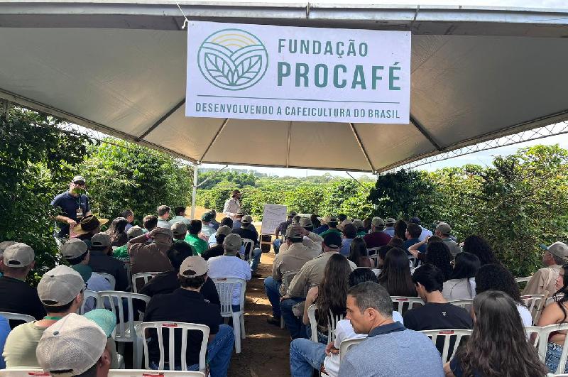 Dia de Campo da Fundação Procafé em Franca reúne mais de mil pessoas em busca de conhecimento e inovações na cafeicultura